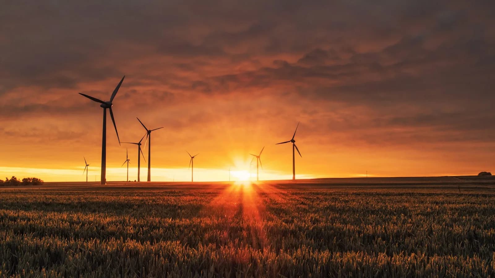 The Great Power Shift: Inside the Solar Revolution, Green Hydrogen, and the Economics of Our Clean Energy Future